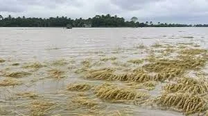 ৭ নদীর পানি বিপৎসীমার ওপরে, উত্তর-পূর্বাঞ্চলে বন্যার শঙ্কা