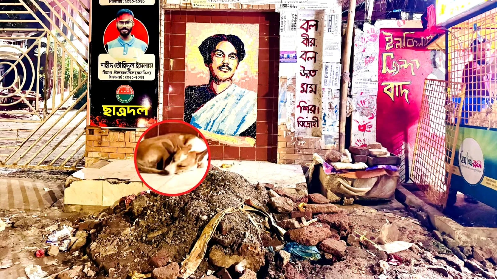 কবি নজরুল কলেজেই অবহেলিত জাতীয় কবি