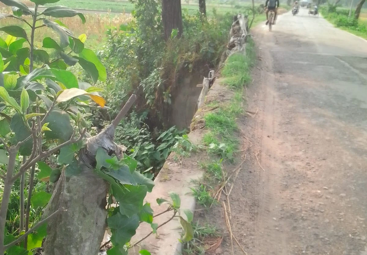 ঝুঁকিপূর্ণ ‘ভাঙ্গা সাঁকো’ ব্রিজে আতঙ্ক, দ্রুত সংস্কারের দাবি এলাকাবাসীর
