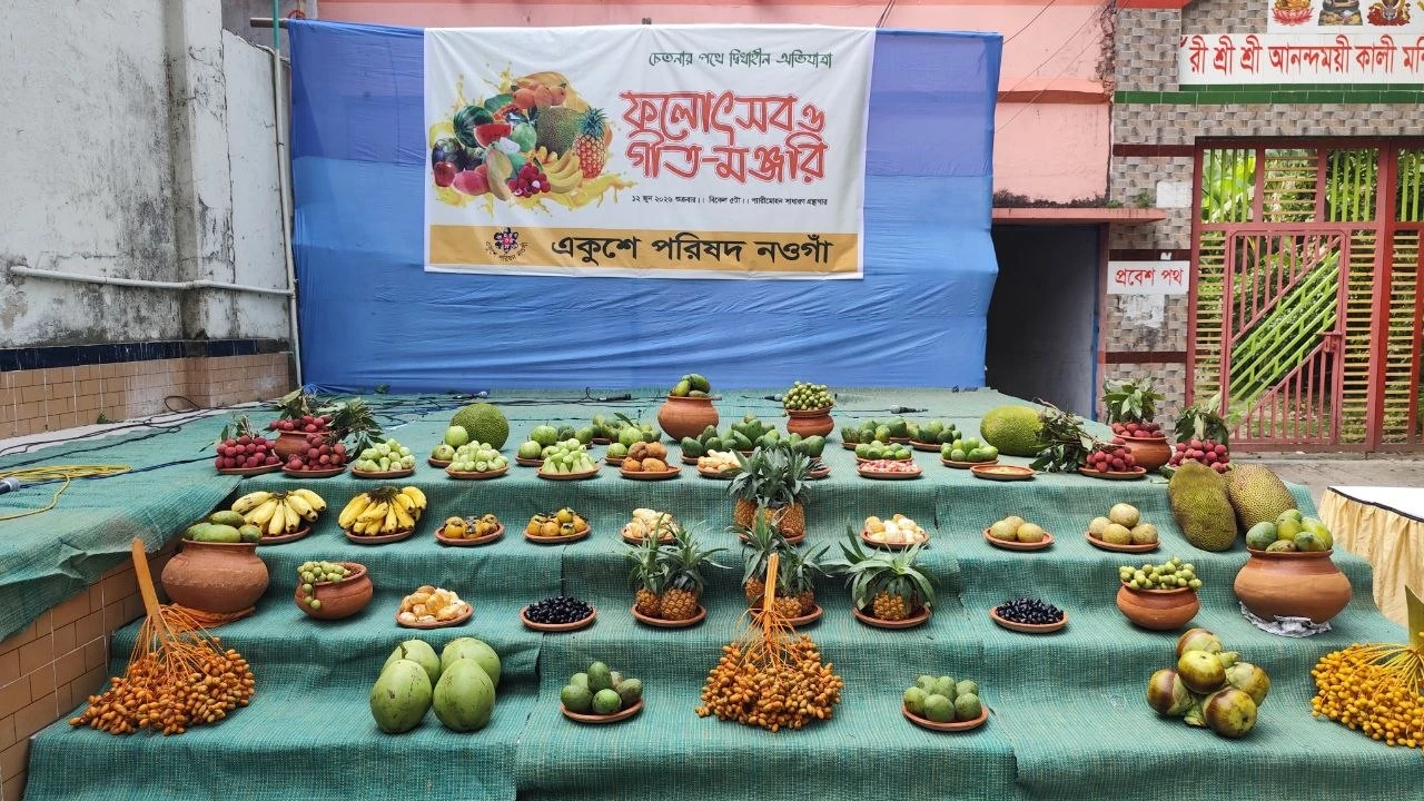 দেশীয় ফল ও লোকজ সংস্কৃতির মেলবন্ধনে নওগাঁয় ফল উৎসব