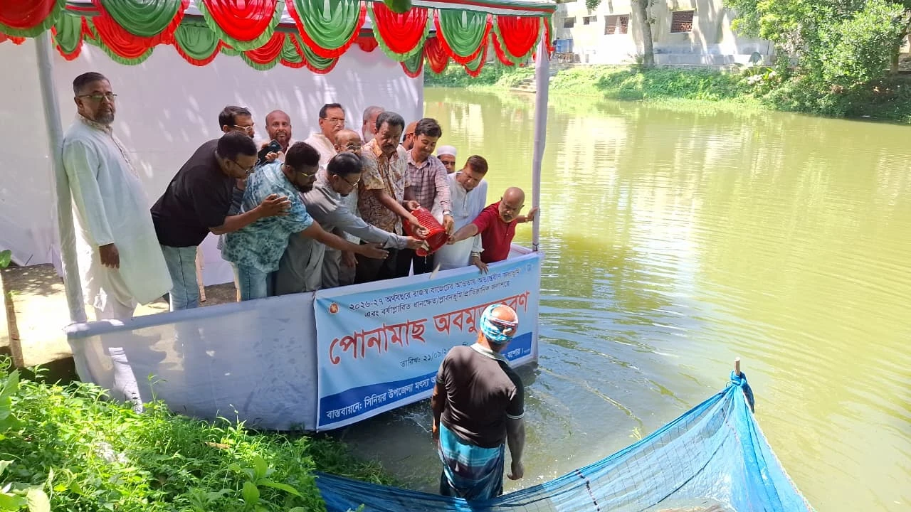 মণিরামপুরে ১৬ জলাশয়ে ৩৪৫ কেজি পোনা মাছ অবমুক্ত